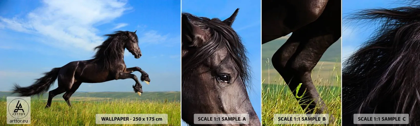 Campione Di Fotomurale Standard Eco - Coinvolgente manifesto di libertà - Animali, Cavallo, Paesaggio - 100x30 cm