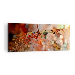 Quadro su tela - Stampe su Tela - Posate sulla ragnatela - 100x40 cm