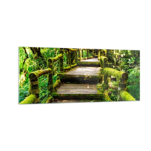 Quadro su vetro - Un corridoio nel verde - 100x40 cm
