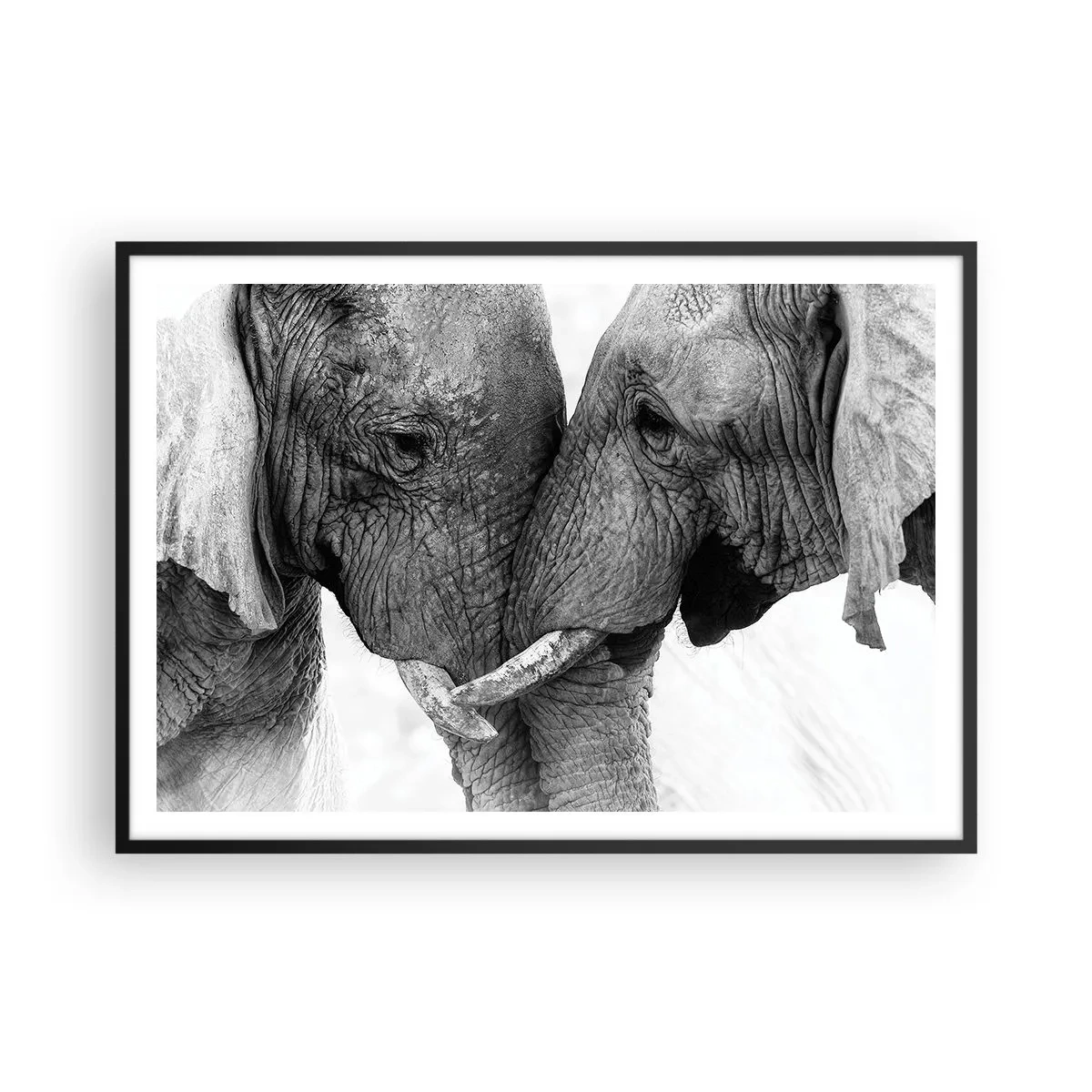 Poster in cornice nera - Due elefanti in un gesto tenero su uno sfondo monocromo - 100x70cm - Dichiarazione sincera - Decorazione murale moderna per soggiorno e camera da letto ARTTOR
