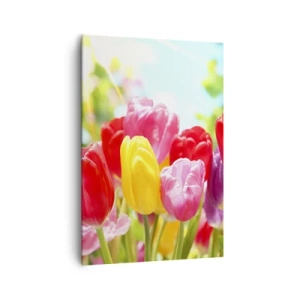 Quadro su tela - Stampe su Tela - Tulipani colorati in piena fioritura su uno sfondo primaverile - 70x100cm - Eccoci, i colori di maggio! - Decorazione murale moderna per soggiorno e camera da letto ARTTOR