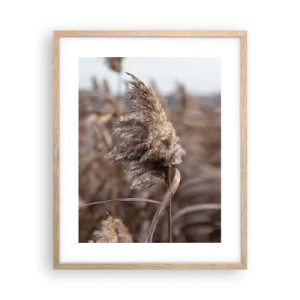 Poster in cornice rovere chiaro - è tempo di volare col vento - 40x50 cm