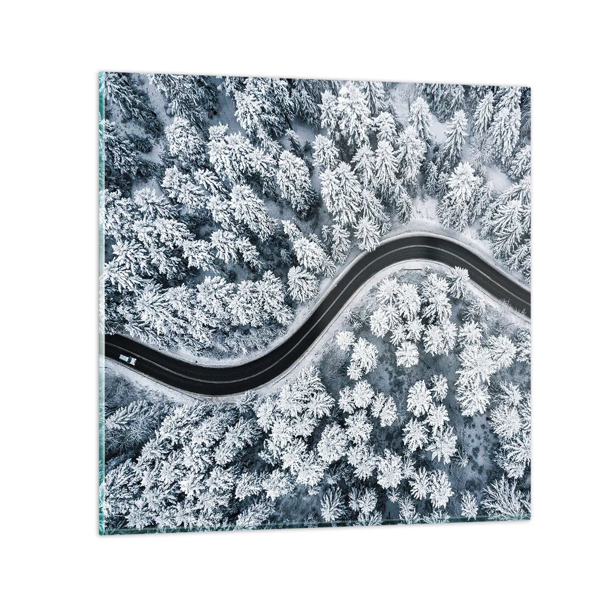 Quadro su vetro - Attraverso il bosco invernale - 50x50 cm
