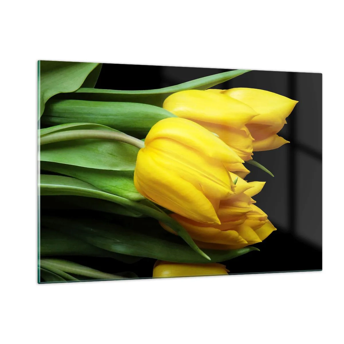 Quadro su vetro - Tulipani gialli su sfondo nero in uno scatto elegante - 120x80cm - Fatti di puro sole - Decorazione murale moderna per soggiorno e camera da letto ARTTOR