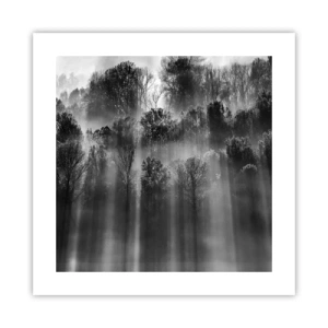 Poster - Nei getti di luce - 40x40 cm