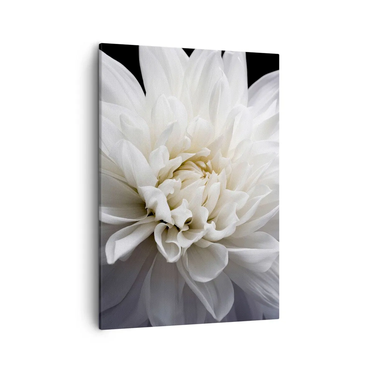 Quadro su tela - Stampe su Tela - Un delicato fiore bianco su sfondo nero in una composizione elegante - 50x70cm - Il mattino della sposa - Decorazione murale moderna per soggiorno e camera da letto ARTTOR