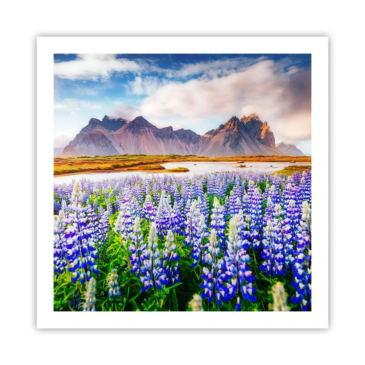 Poster - Forza e asprezza accanto alla mitezza - 60x60 cm