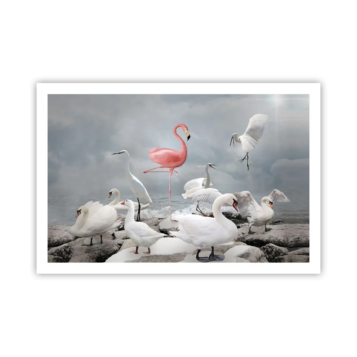 Poster - Come sono arrivato qui? - 91x61 cm