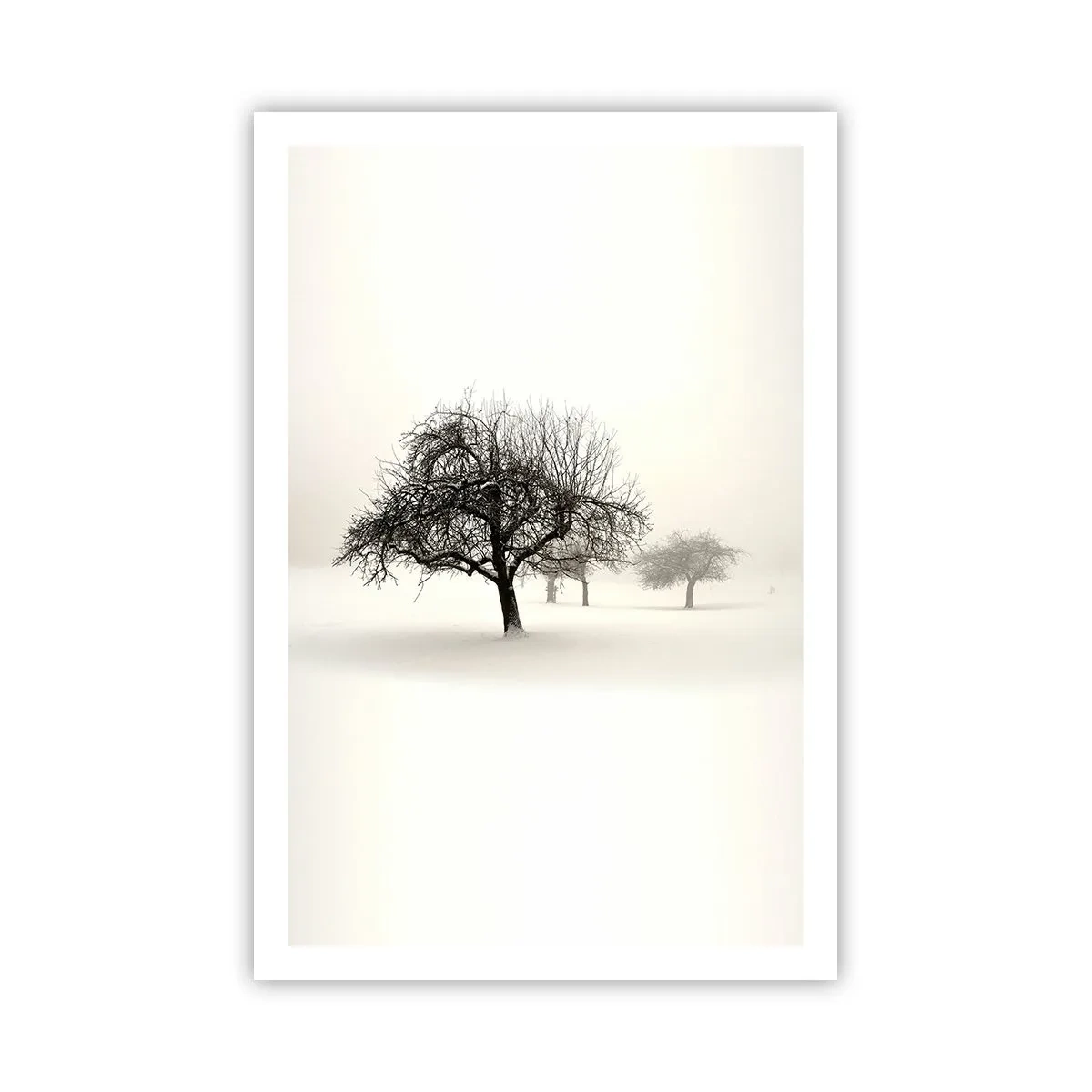 Poster - Sogno invernale - 61x91 cm
