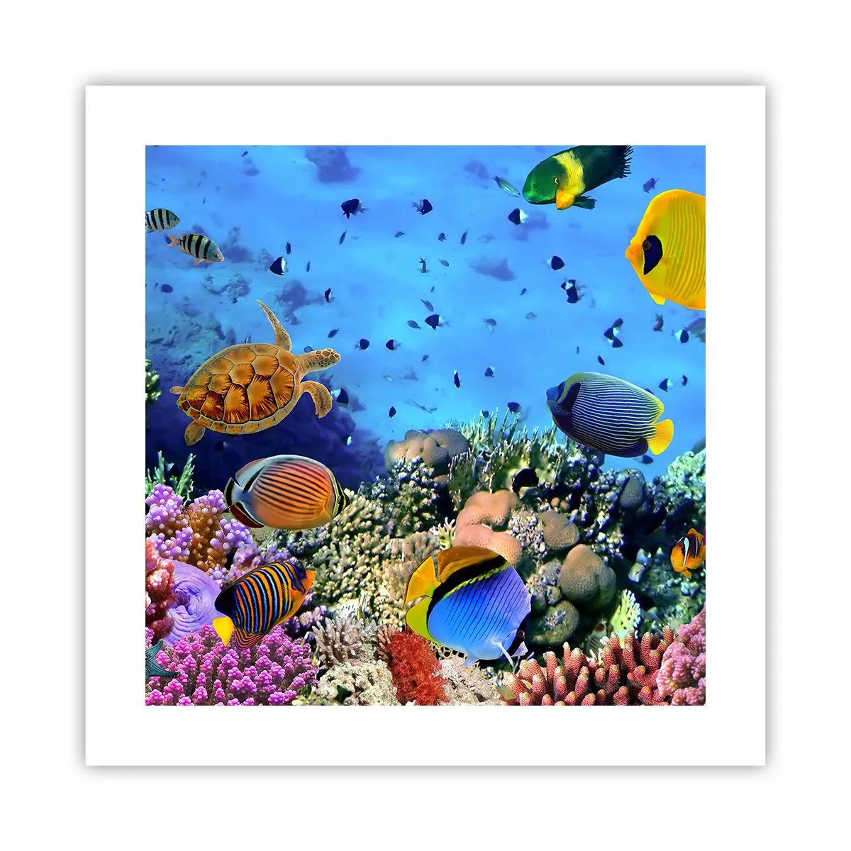 Poster - Ma cosa sappiamo della vita... - 40x40 cm