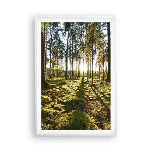 Poster in cornice bianca - …dopo sette foreste - 61x91 cm