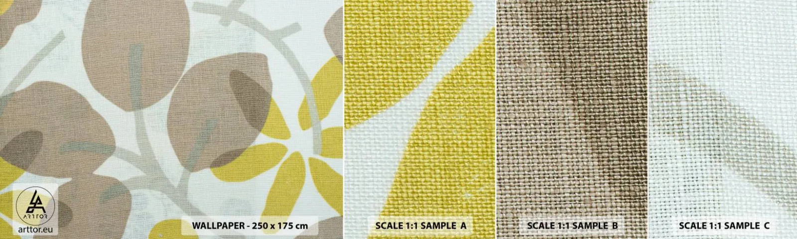 Campione Di Fotomurale Standard Eco - Composizione sotto al sole - Boho, Fiori, Minimalismo - 100x30 cm