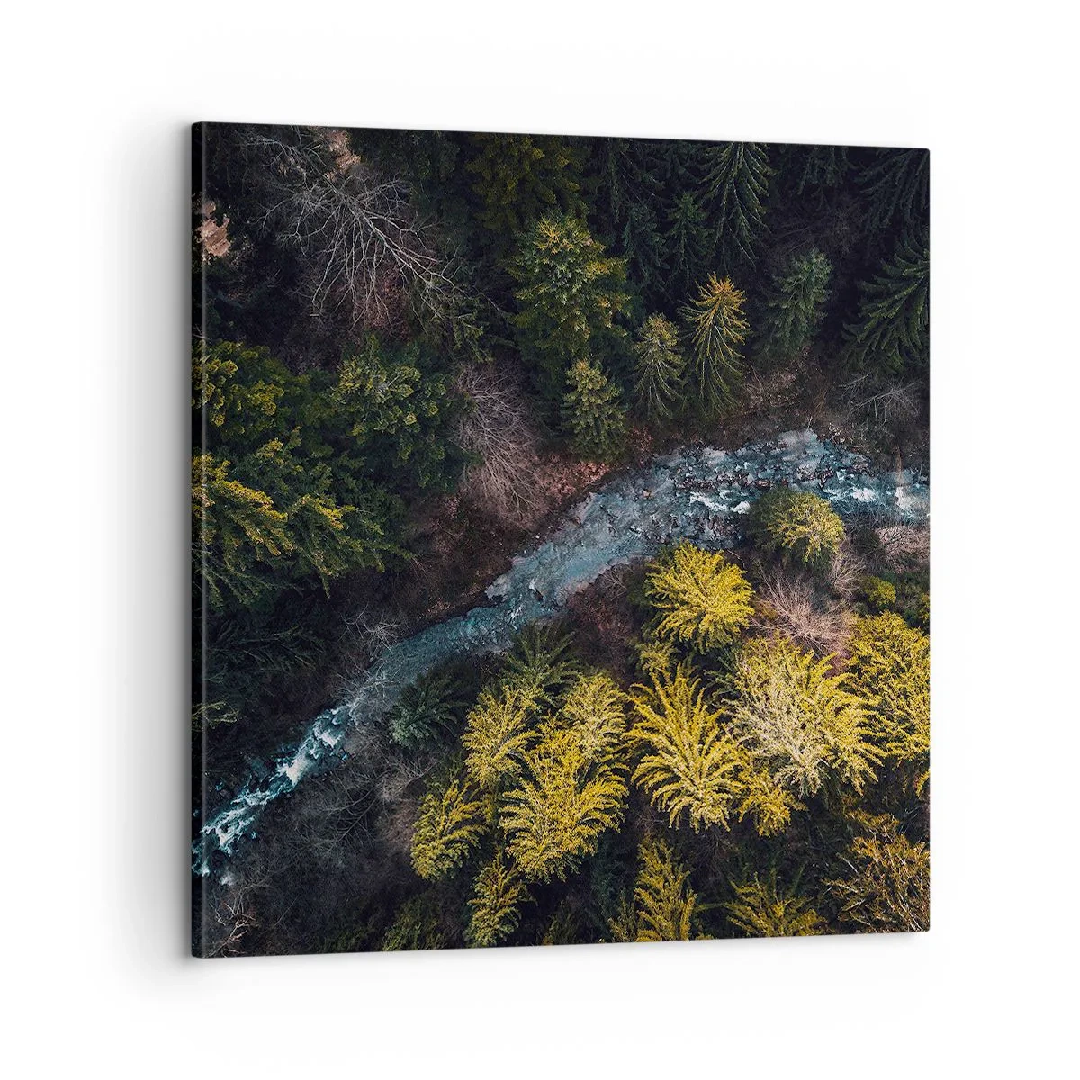 Quadro su tela - Stampe su Tela - Sempre più veloce - 60x60 cm