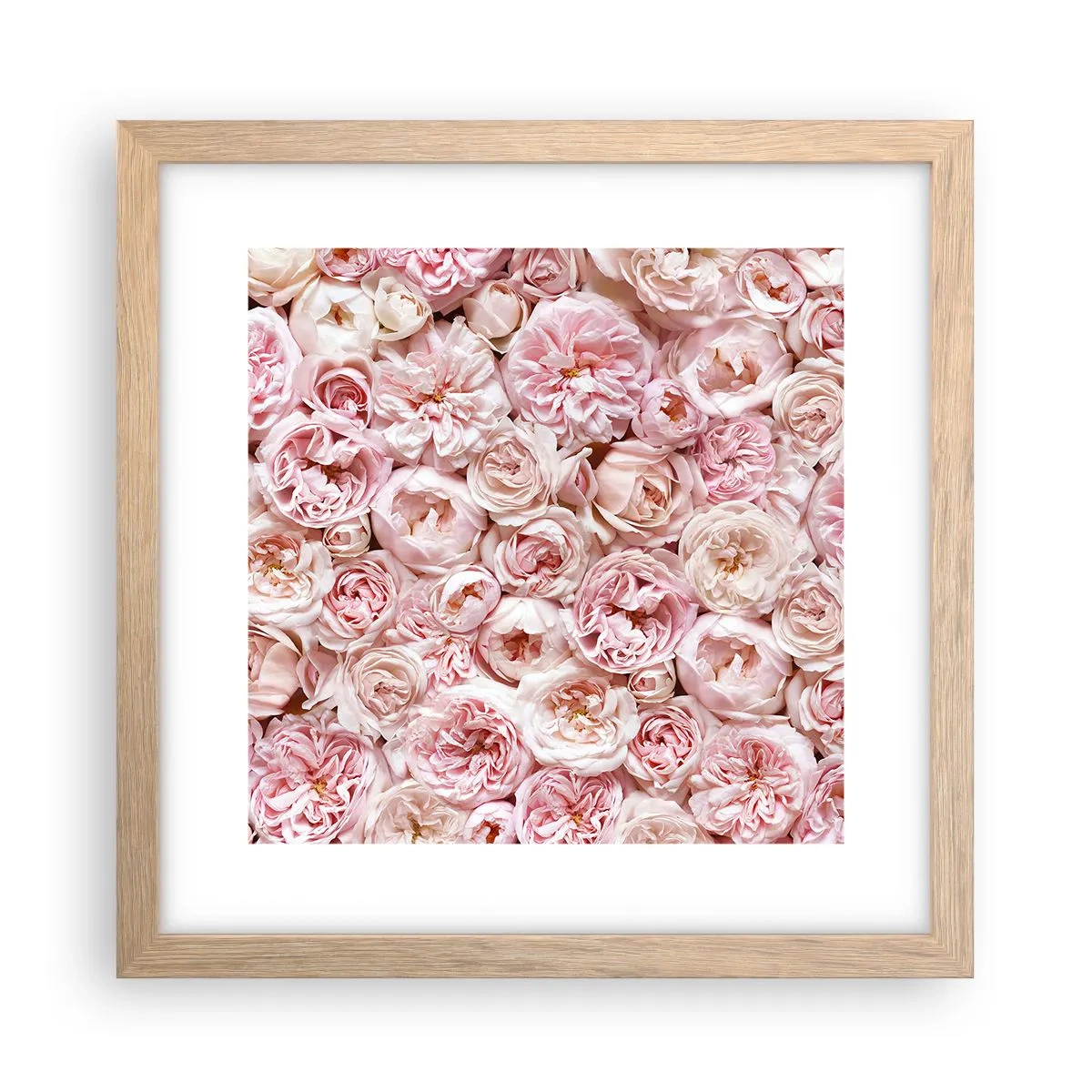 Poster in cornice rovere chiaro - Coperto di rose - 30x30 cm