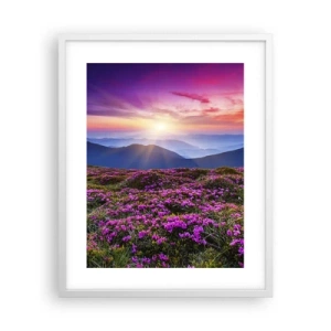 Poster in cornice bianca - Il profumo dei fiori freschi del campo - 40x50 cm