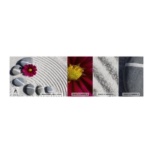 Campione di Fotomurale Premium Sand - Energia e pace nel cerchio magico della natura - Fiori, Sabbia, Pietre - 100x30 cm
