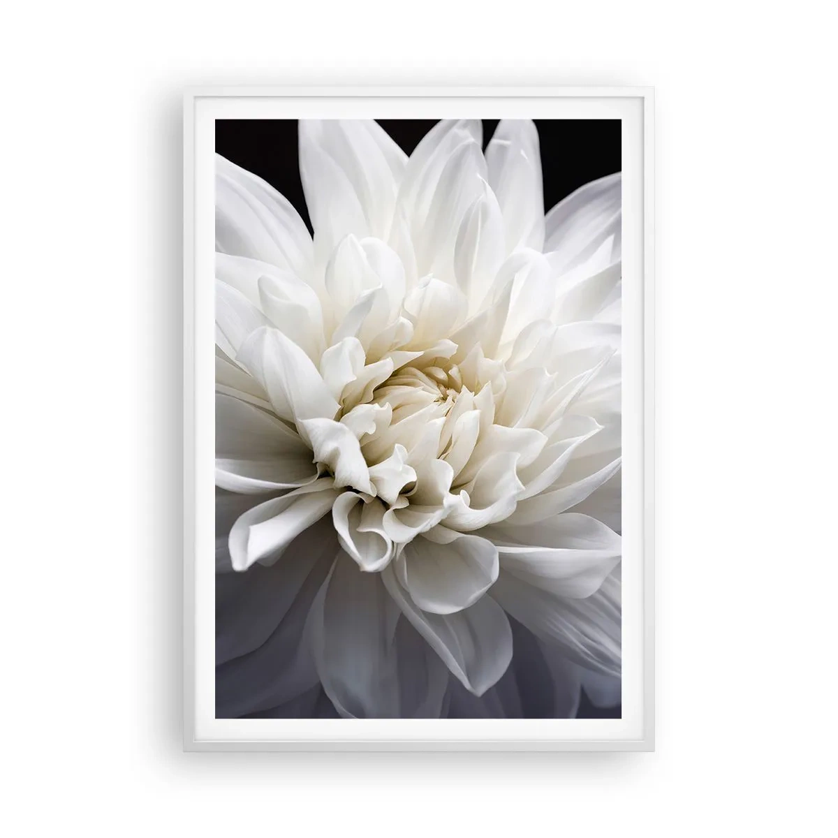 Poster in cornice bianca - Il mattino della sposa - 70x100 cm