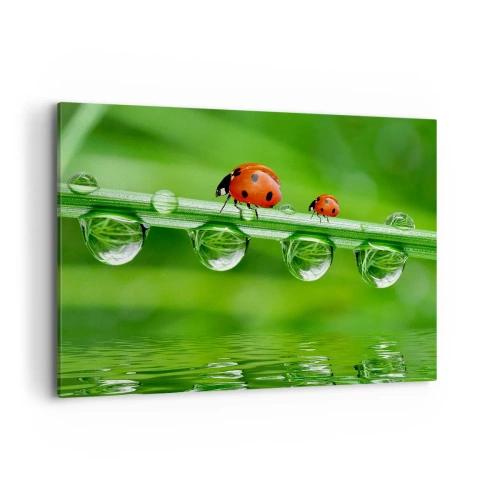 Quadro su tela - Stampe su Tela - Coccinelle su un filo d'erba con gocce di rugiada in un ambiente naturale - 120x80cm - In cammino per tutta l'estate - Decorazione murale moderna per soggiorno e camera da letto ARTTOR