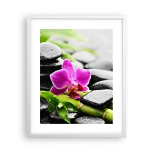 Poster in cornice bianca - Un tranquillo equilibrio - 40x50 cm