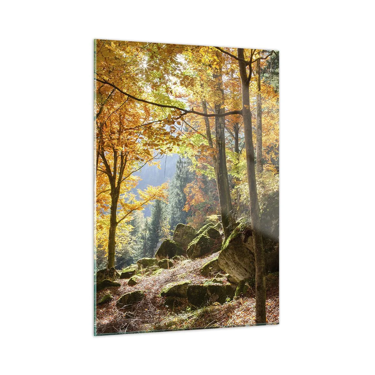 Quadro su vetro - Foresta autunnale con raggi di sole e pietre - 50x70cm - Il tempo del riposo - Decorazione murale moderna per soggiorno e camera da letto ARTTOR