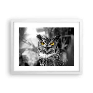 Poster in cornice bianca - Non si può nascondere niente - 40x30 cm