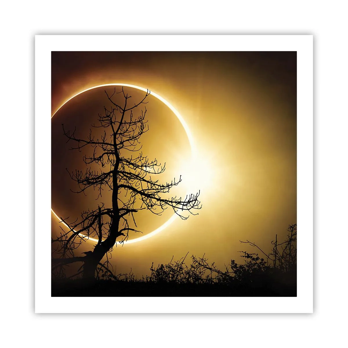 Poster - Eclissi totale - 60x60 cm