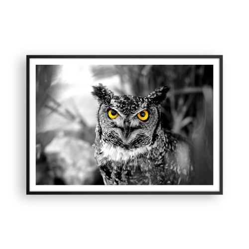 Poster in cornice nera - Uno scatto in bianco e nero di un gufo con gli occhi gialli - 100x70cm - Non si può nascondere niente - Decorazione murale moderna per soggiorno e camera da letto ARTTOR