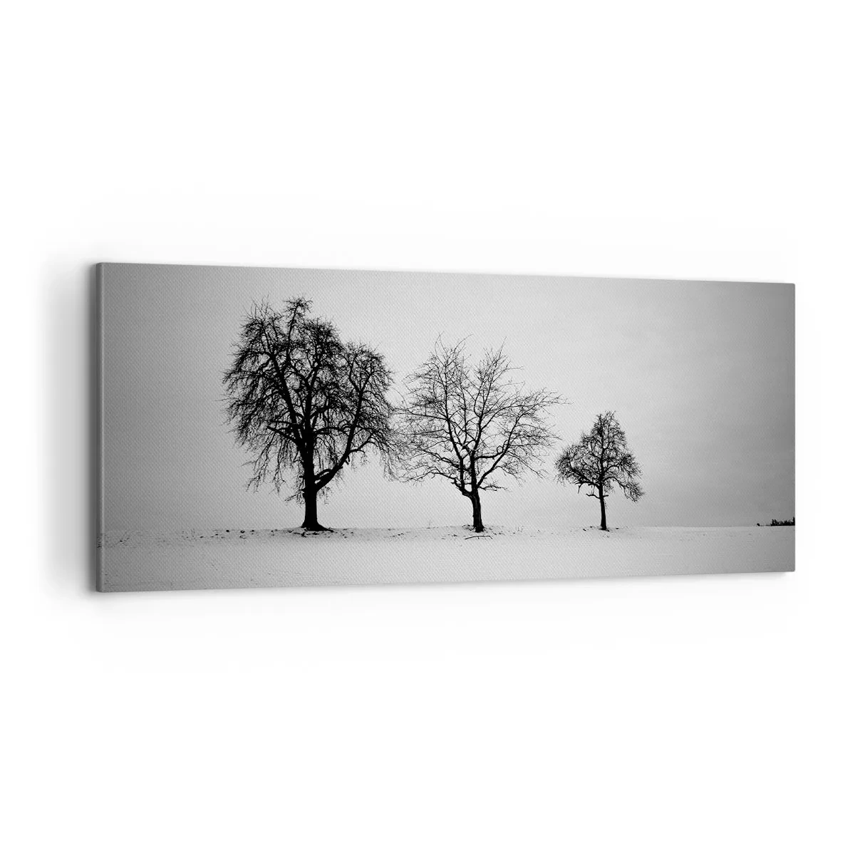 Quadro su tela - Stampe su Tela - Cosa sognano? - 100x40 cm