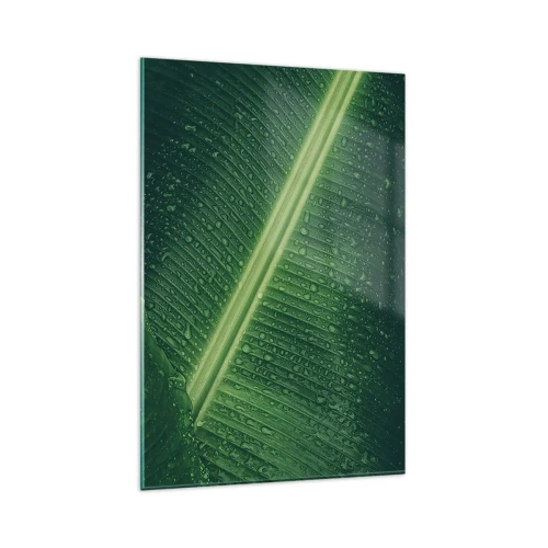 Quadro su vetro - Una foglia verde con gocce d'acqua sulla sua superficie - 80x120cm - La struttura del verde - Decorazione murale moderna per soggiorno e camera da letto ARTTOR