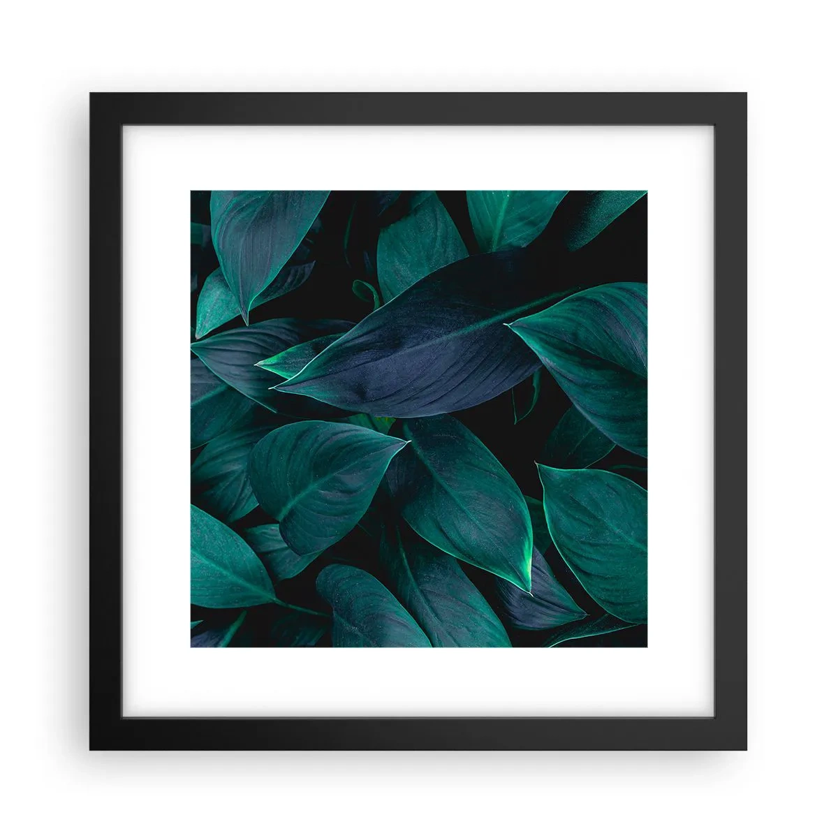 Poster in cornice nera - Il verde puro - 30x30 cm