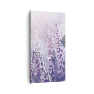 Quadro su tela - Stampe su Tela - Il bacio della farfalla - 65x120 cm