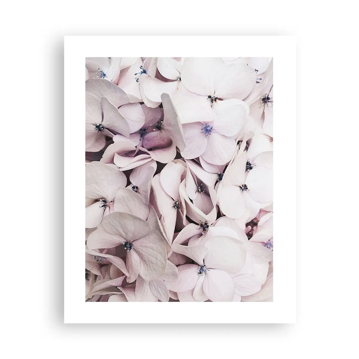 Poster - Un'alluvione di fiori - 40x50 cm