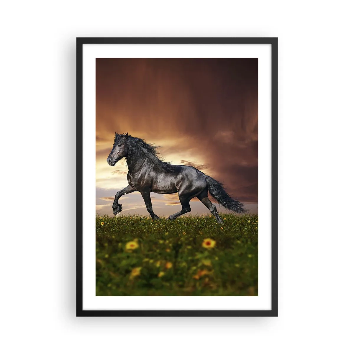 Poster in cornice nera - Un cavallo nero galoppa attraverso un prato alla luce del sole al tramonto. - 50x70cm - Il principe nero - Decorazione murale moderna per soggiorno e camera da letto ARTTOR