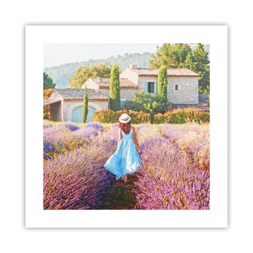 Poster - La ragazza nella lavanda - 40x40 cm
