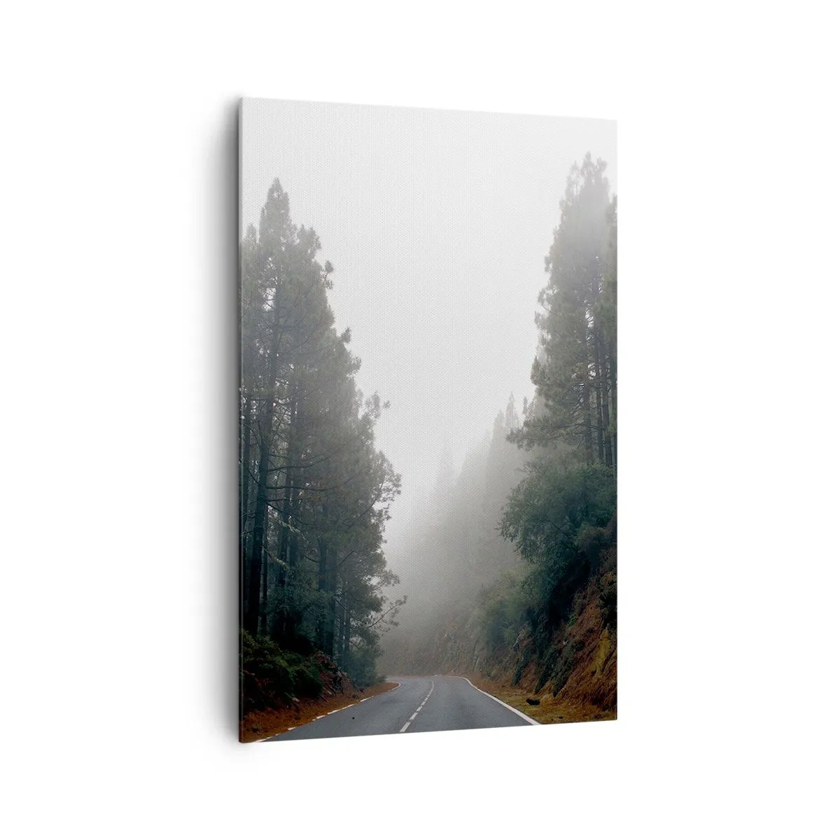 Quadro su tela - Stampe su Tela - Il racconto della foresta magica - 80x120 cm