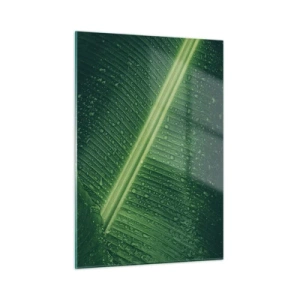 Quadro su vetro - Primo piano di una foglia verde con gocce d'acqua - 50x70cm - La struttura del verde - Decorazione murale moderna per soggiorno e camera da letto ARTTOR