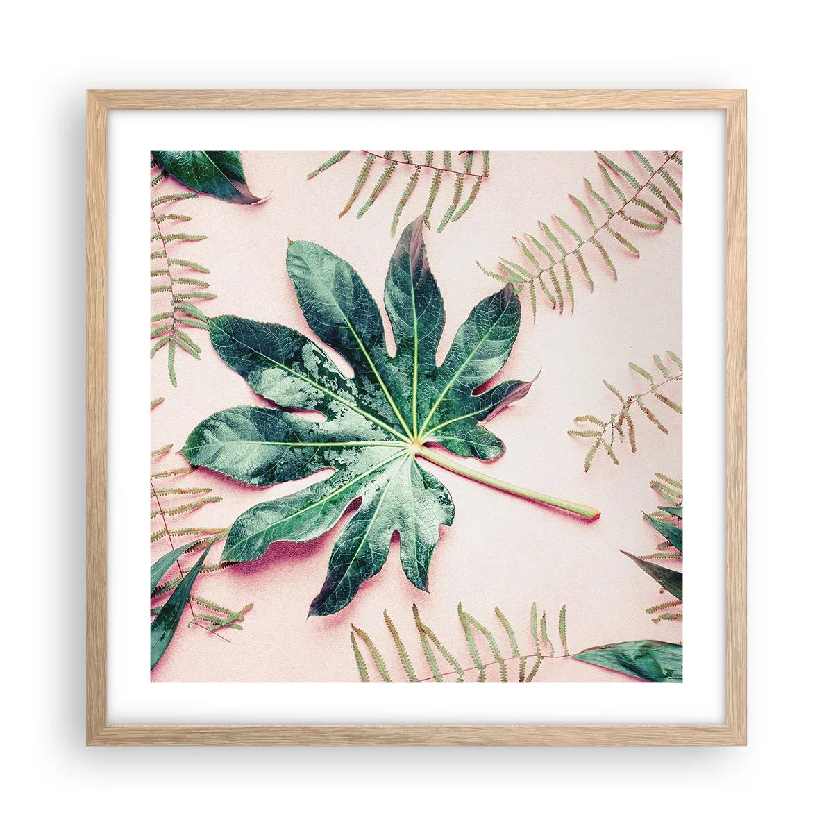 Poster in cornice rovere chiaro - Studio di verde su sfondo rosa - 50x50 cm