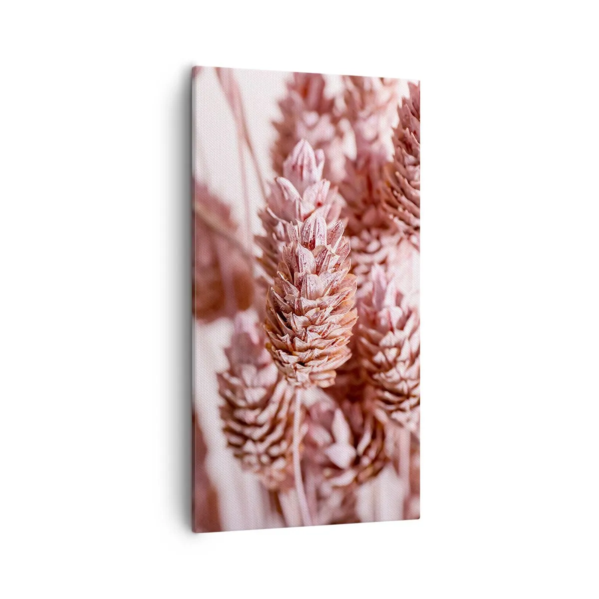 Quadro su tela - Stampe su Tela - A prima vista poco appariscenti - 55x100 cm