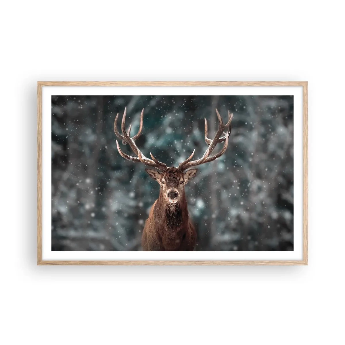 Poster in cornice rovere chiaro - Il re del bosco incoronato - 91x61 cm