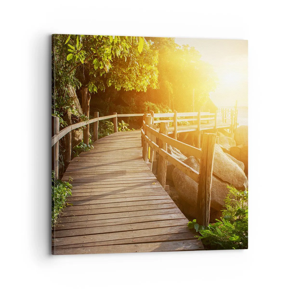 Quadro su tela - Stampe su Tela - Altra curva, altre meraviglie - 70x70 cm