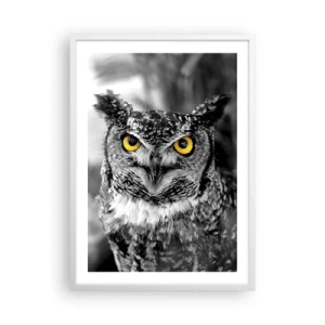 Poster in cornice bianca - Non si può nascondere niente - 50x70 cm