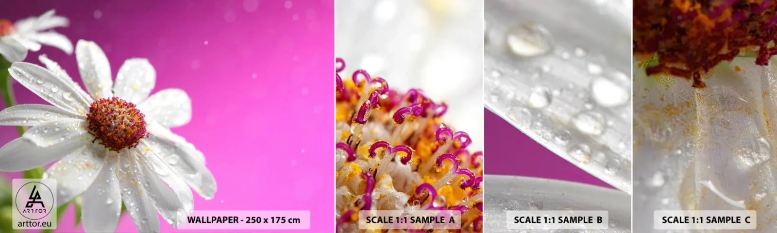 Campione Di Fotomurale Standard Eco - Modesto nella sua bellezza - Fiore, Natura, Giardino - 100x30 cm