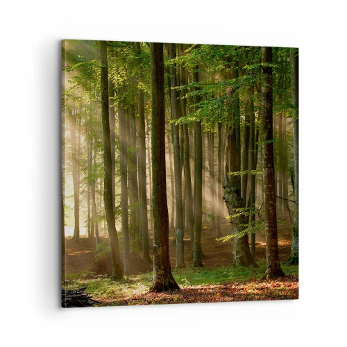 Quadro su tela - Stampe su Tela - Raggiante in un mattino di primavera - 60x60 cm