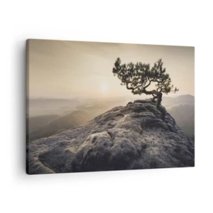 Quadro su tela - Stampe su Tela - Un albero solitario su una cima rocciosa alla luce del sole - 70x50cm - La vita vince sempre - Decorazione murale moderna per soggiorno e camera da letto ARTTOR