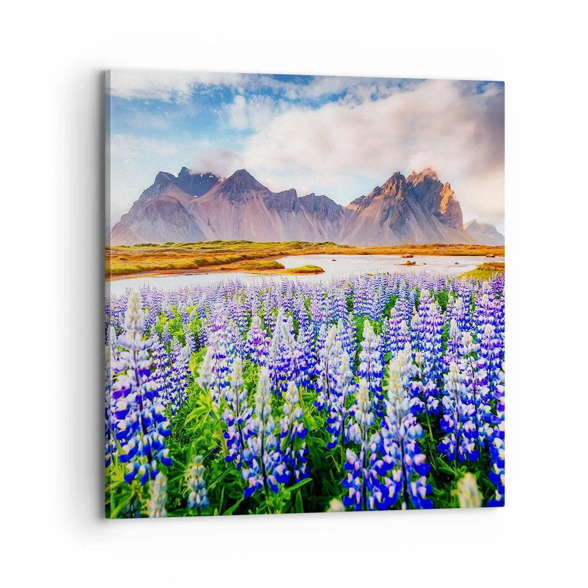 Quadro su tela - Stampe su Tela - Forza e asprezza accanto alla mitezza - 70x70 cm