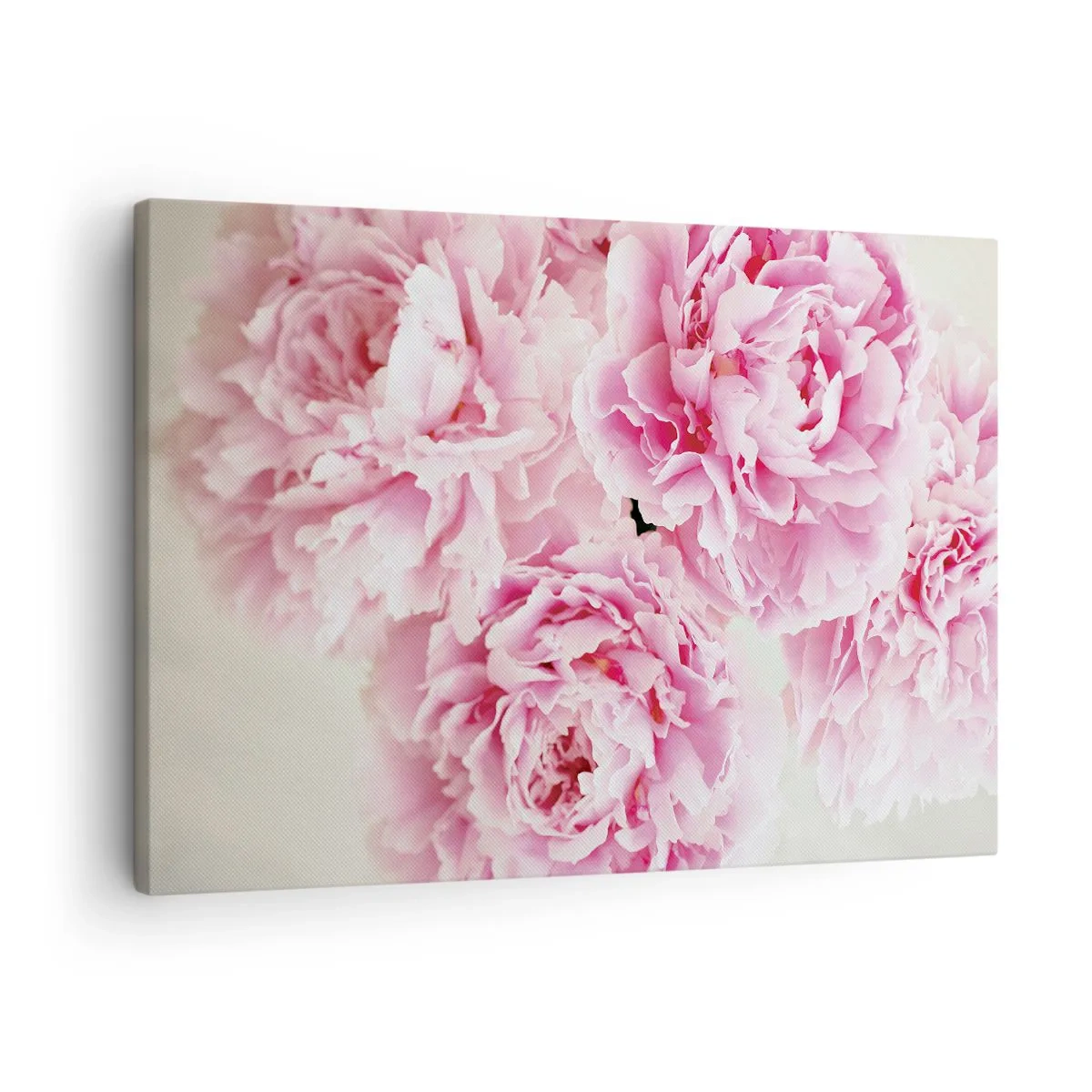 Quadro su tela - Stampe su Tela - Un bouquet di peonie rosa su uno sfondo chiaro - 70x50cm - Nel fasto rosa - Decorazione murale moderna per soggiorno e camera da letto ARTTOR
