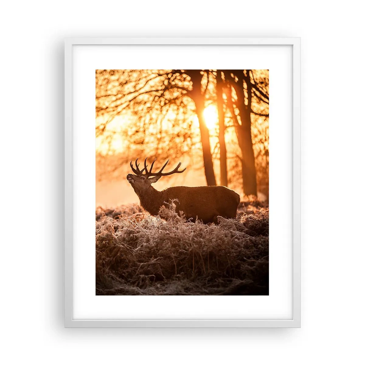 Poster in cornice bianca - Il sogno del cacciatore - 40x50 cm