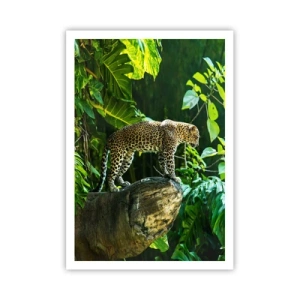 Poster - A caccia? - 70x100 cm