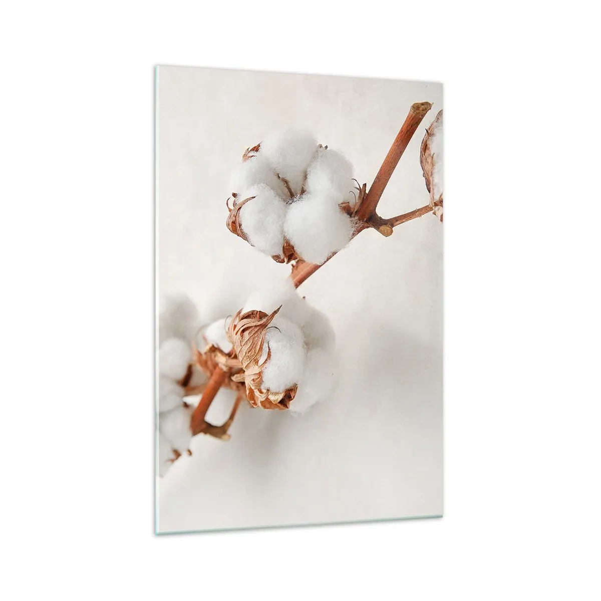 Quadro su vetro - Un rametto di cotone su uno sfondo sottile - 70x100cm - Semplicemente un abbraccio - Decorazione murale moderna per soggiorno e camera da letto ARTTOR
