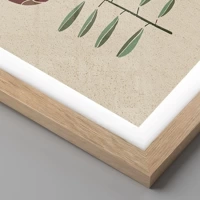 Rovere chiaro